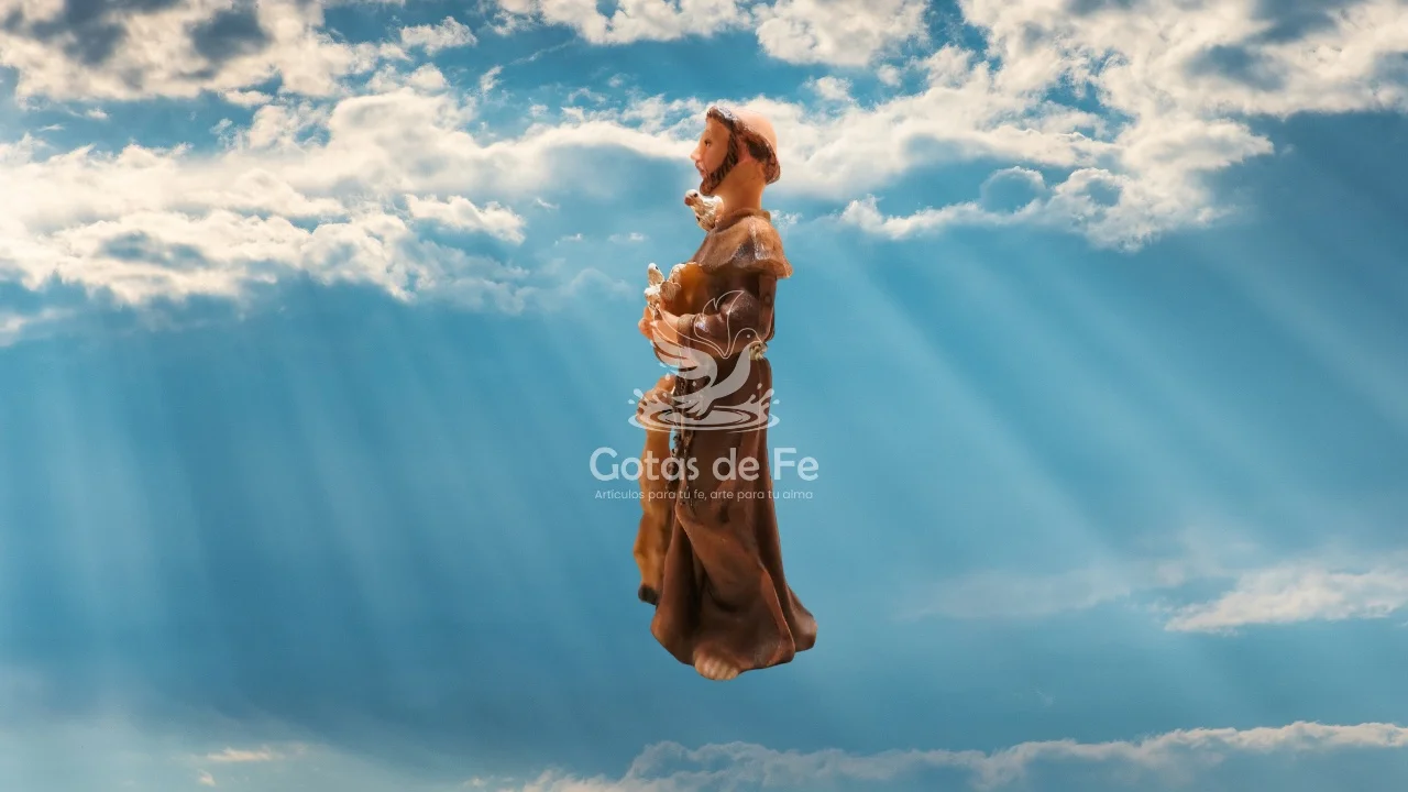 San Franciso de Asís 4