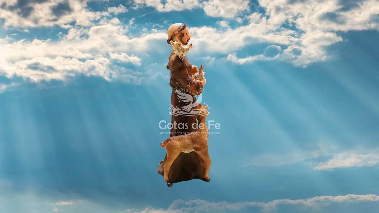 San Francisco de Asís 2