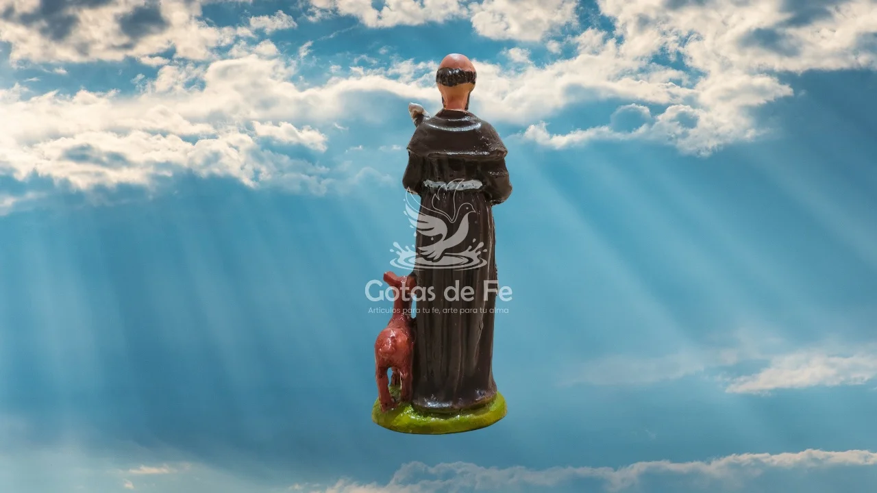 San Francisco de Asís 3